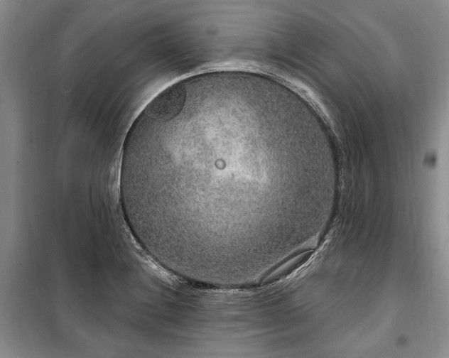 X0000100361228200806131007