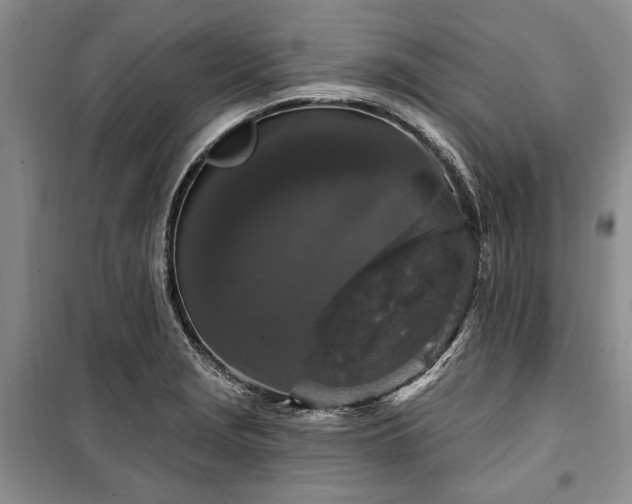 X0000100361229200806131007