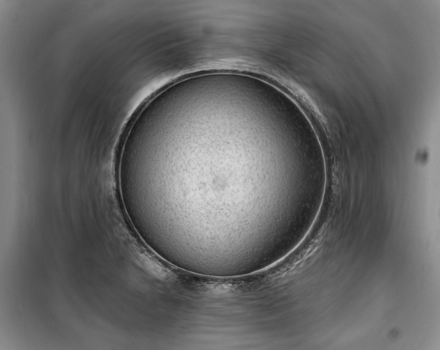 X0000100361230200806131007