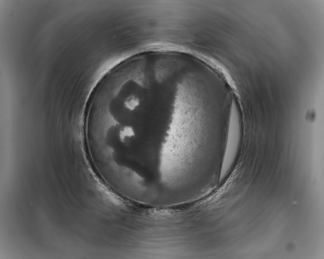 X0000100361231200806131007