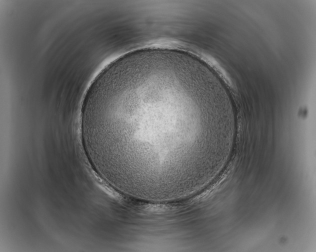 X0000100361232200806131007