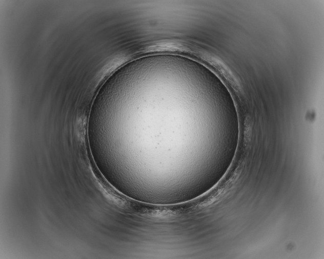 X0000100361233200806131007