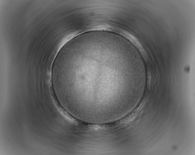 X0000100361234200806131007