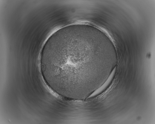 X0000100361235200806131007