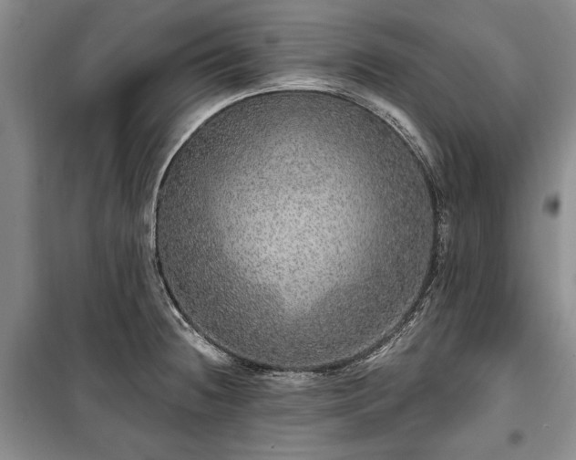 X0000100361236200806131007