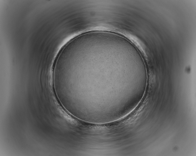 X0000100361238200806131008