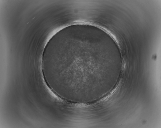 X0000100361239200806131008