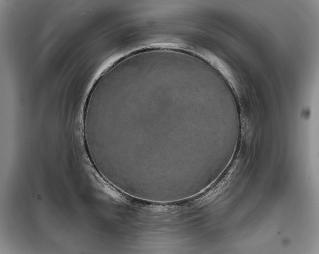 X0000100361240200806131008