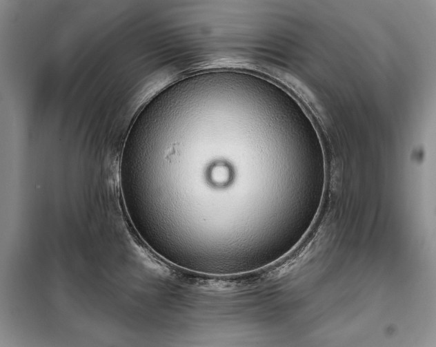 X0000100361241200806131008