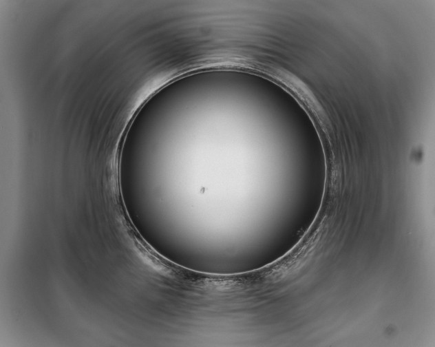 X0000100361242200806131008