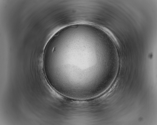 X0000100361244200806131008