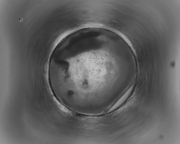 X0000100361245200806131008