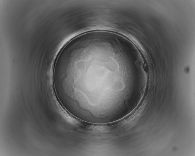 X0000100361246200806131008