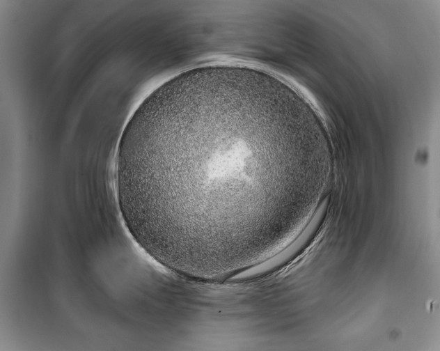 X0000100361247200806131008