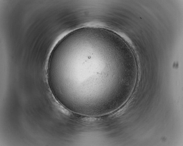 X0000100361248200806131008