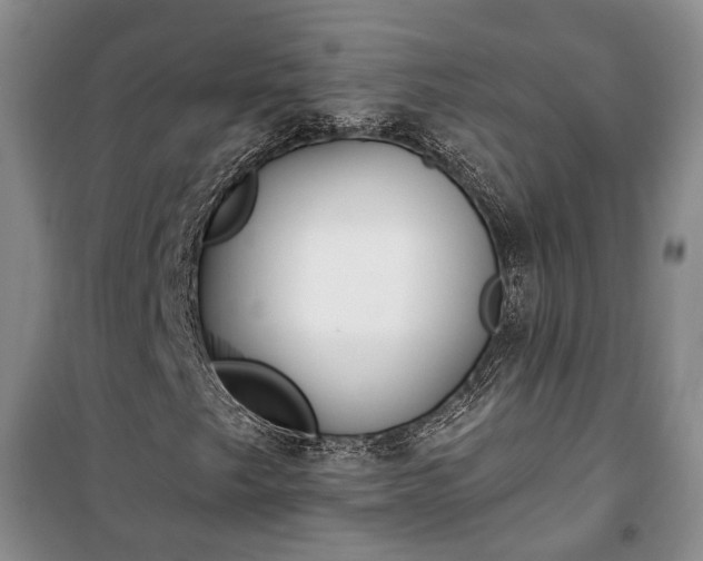 X0000100361249200806131007