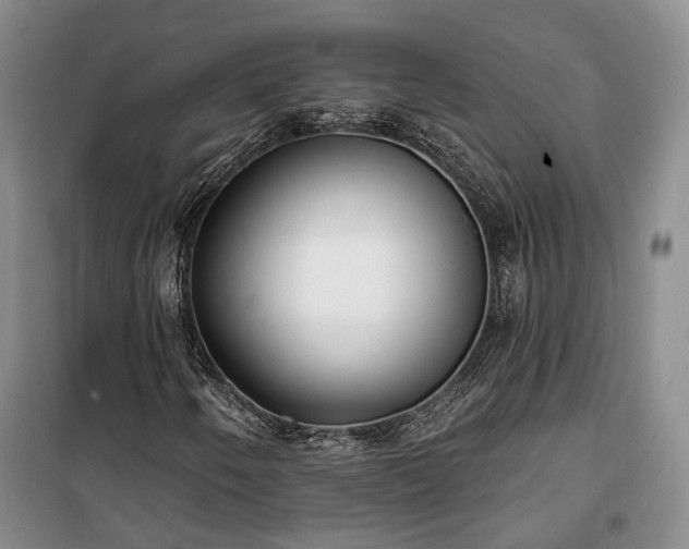 X0000100361250200806131007