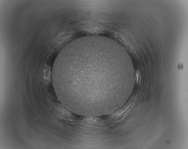 X0000100361251200806131007