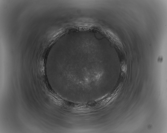 X0000100361252200806131007