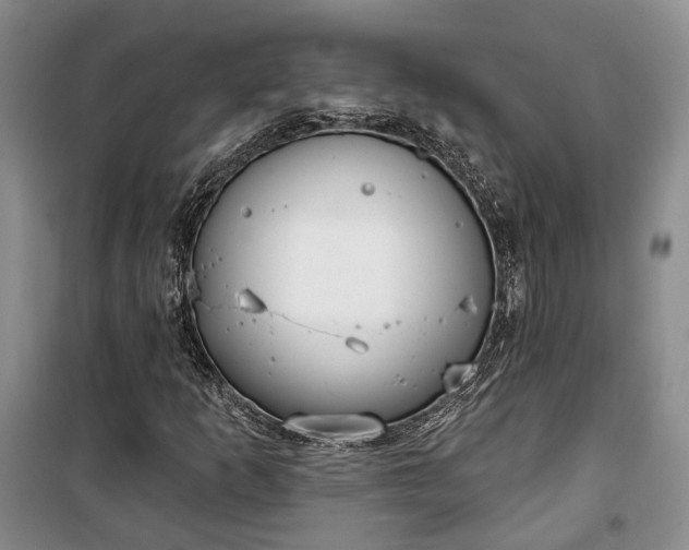 X0000100361253200806131007