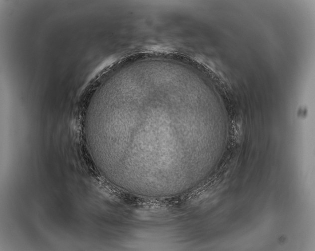 X0000100361254200806131007