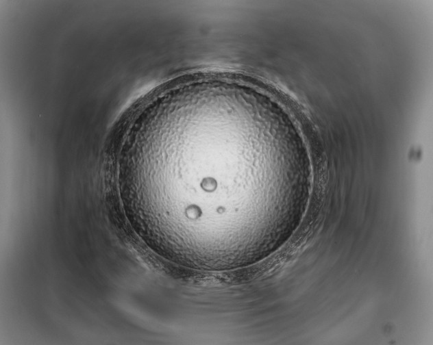 X0000100361255200806131007