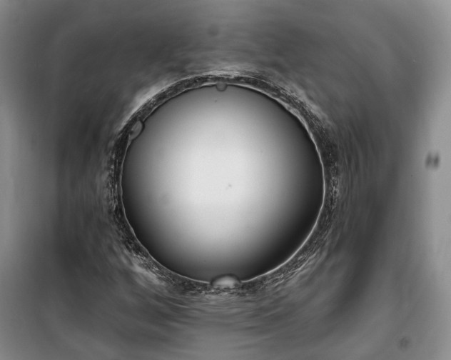 X0000100361256200806131007