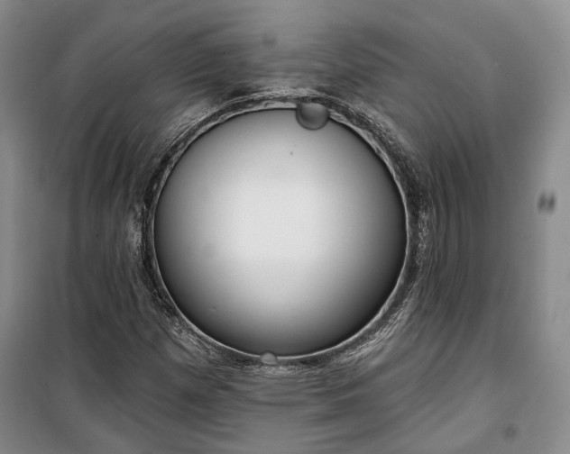 X0000100361257200806131007