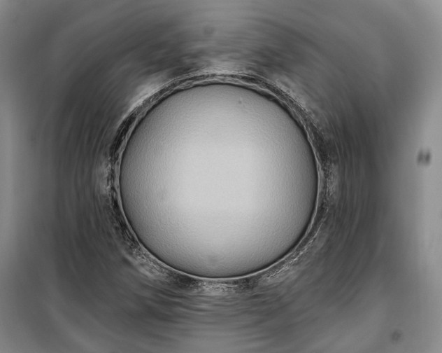 X0000100361258200806131007