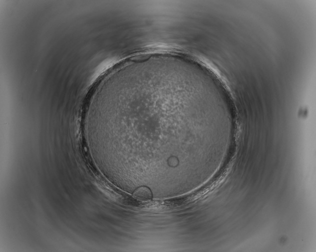 X0000100361259200806131007