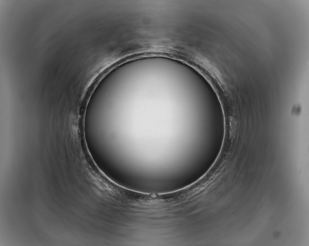 X0000100361260200806131007