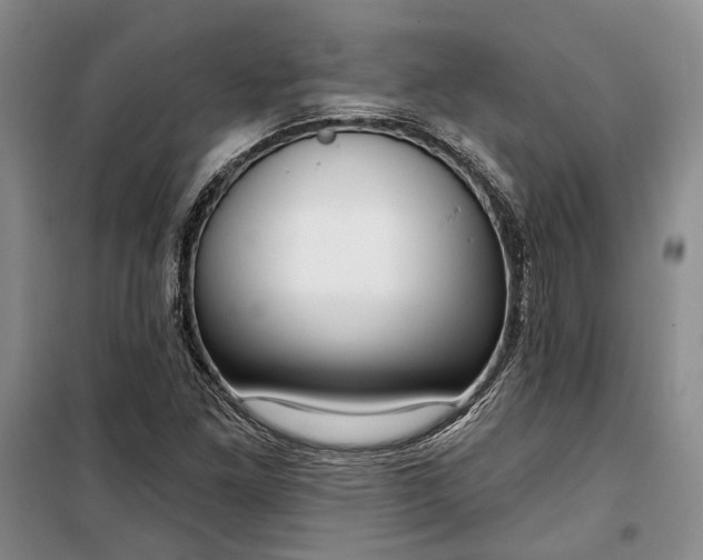 X0000100361261200806131007