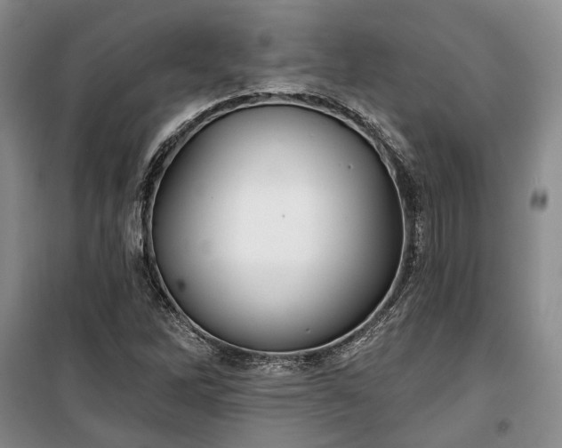 X0000100361262200806131007