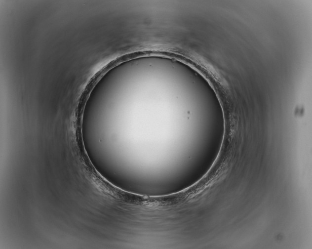 X0000100361264200806131007