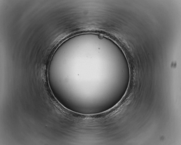 X0000100361265200806131007