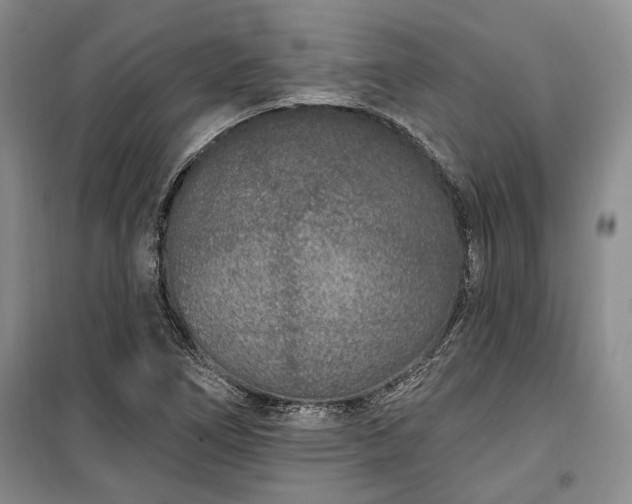 X0000100361266200806131007