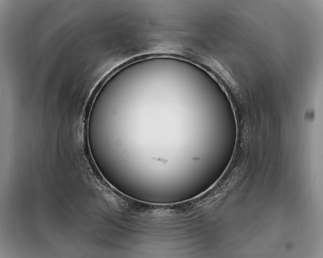 X0000100361268200806131007