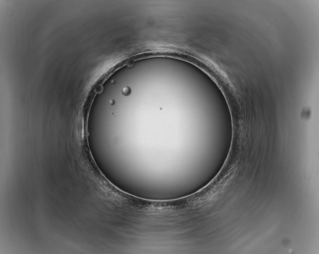 X0000100361269200806131007