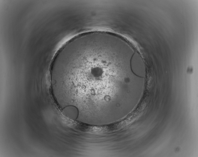 X0000100361271200806131007