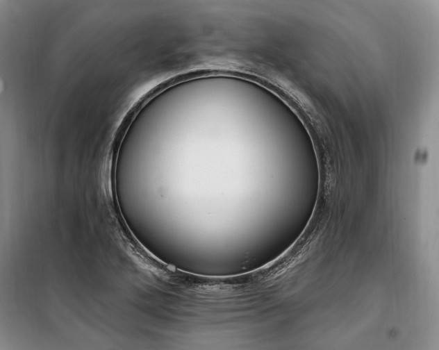 X0000100361272200806131007