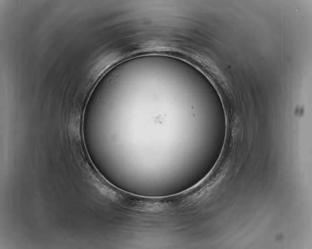 X0000100361273200806131007