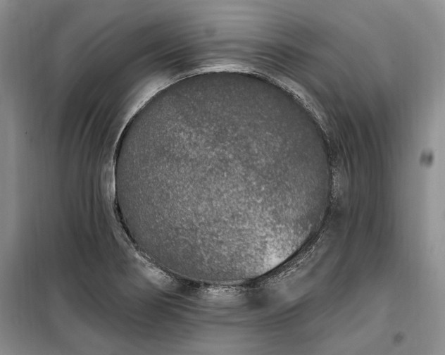 X0000100361274200806131007