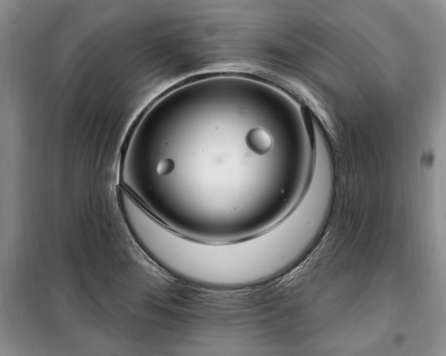 X0000100361276200806131007