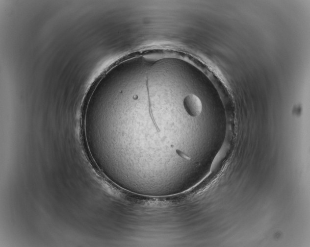 X0000100361277200806131007