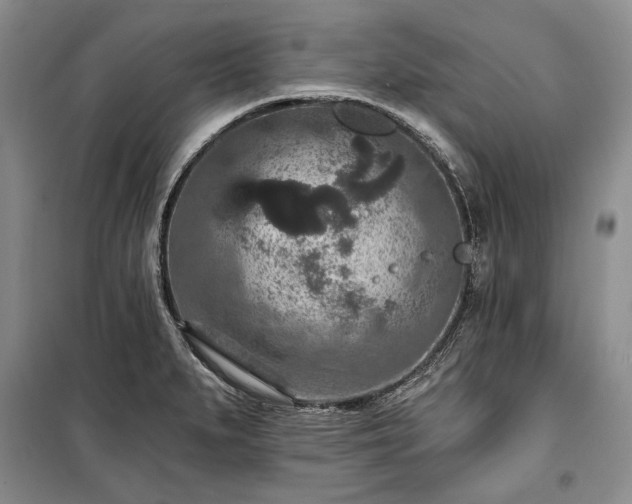 X0000100361279200806131007