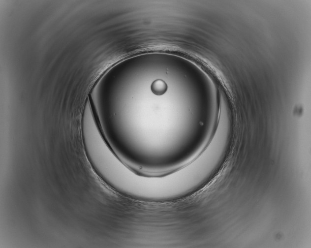 X0000100361281200806131007