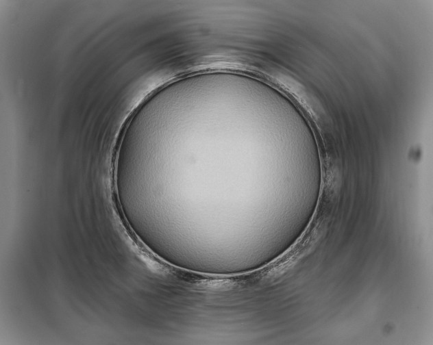 X0000100361282200806131007