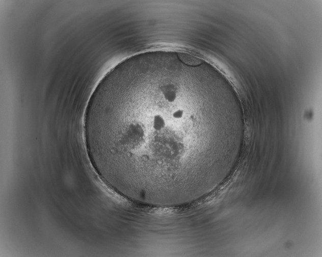 X0000100361283200806131007