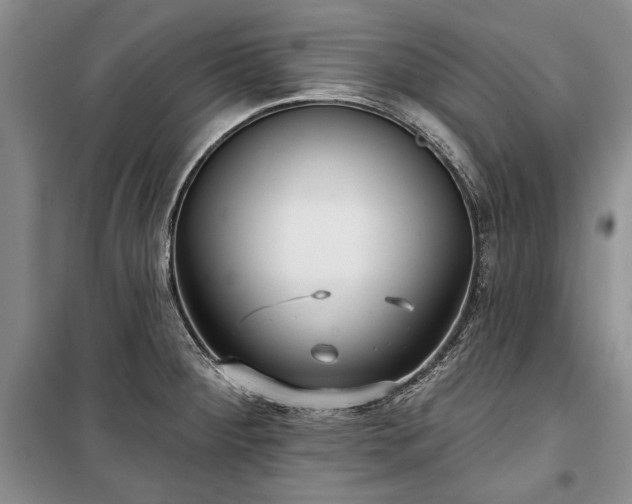 X0000100361284200806131007