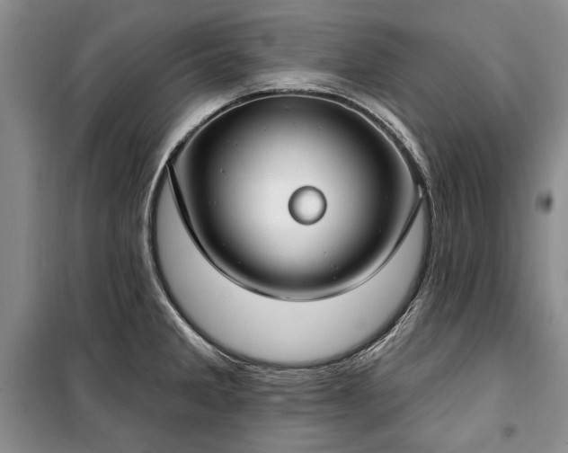 X0000100361285200806131007